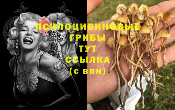 каннабис Сосновый Бор