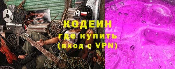 хмурый Сосновка