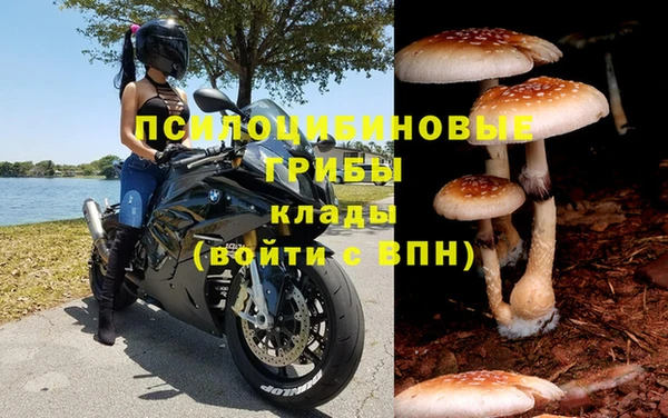 каннабис Сосновый Бор