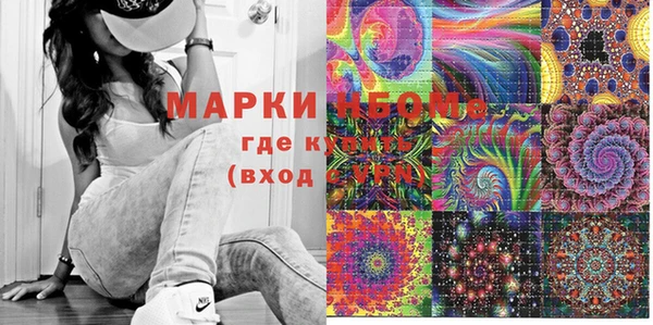 хмурый Сосновка