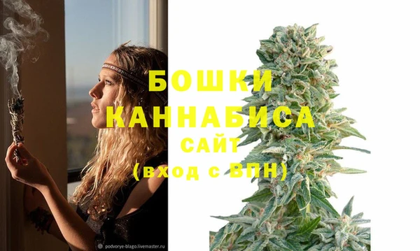 хмурый Сосновка